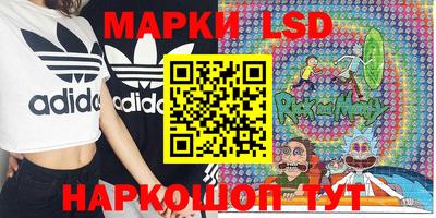 ECSTASY Обь